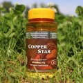 Starlife Copper star