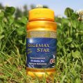 Starlife Regemax star