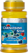 Starlife CARNOSINE STAR 60 kapslí