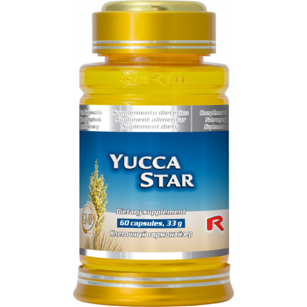 Yucca na podporu detoxikace